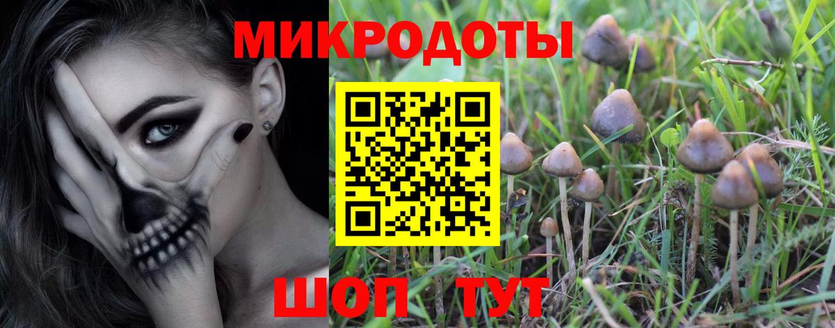 наркота  Вход с VPN  Елабуга  Галлюциногенные грибы Psilocybine cubensis 